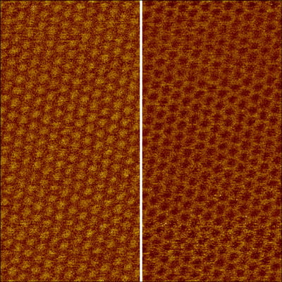 AN01294_twisted-graphene-on-hBN_PFM_2D_153-nm-xy_-35-pm(amplitude,-left)-and-1