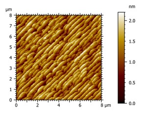 Topography of the BaTiO3 sample