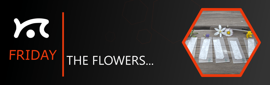 HEADER-May-09-2024-02-42-05-0153-PM