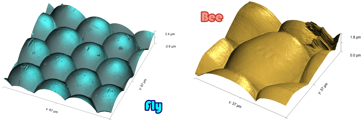 fig4