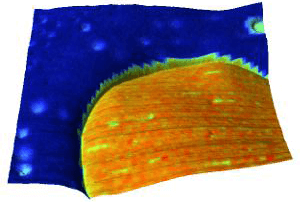 3d_topography_log_stiffness__overlay_flat