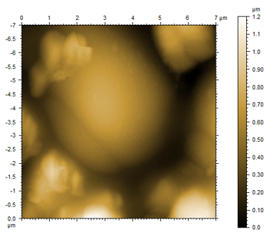 afm-modes-lead-zirconate-titanate-topography