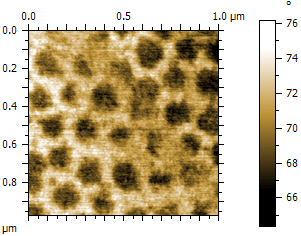 afm-phase-imaging-high-contrast