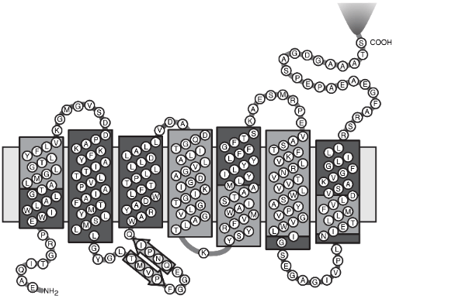 br-structure-and-unfolding