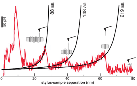br-unfolding-graph-and-fitting