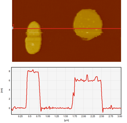 afm-imaging-contact-mode-bacteriorhodopsin