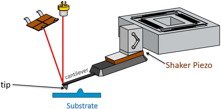 How does AFM Work?