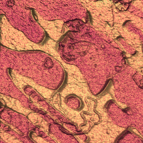 WMNMA_Sn63Pb37_WM20PTD_20kHz_5_edit-1