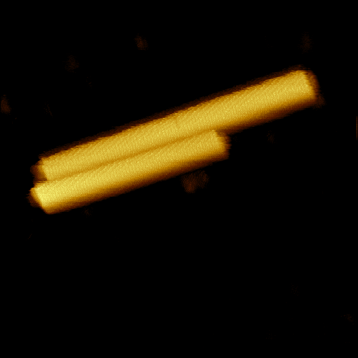 WM_TMV_WM0.1Au-SS_7_topo