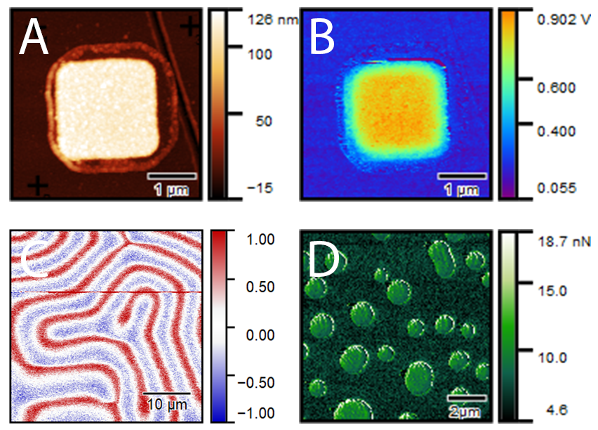 afm images lille letters