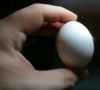 intro-3