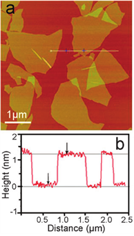 AFM-glovebox-example-single-layer-graphene