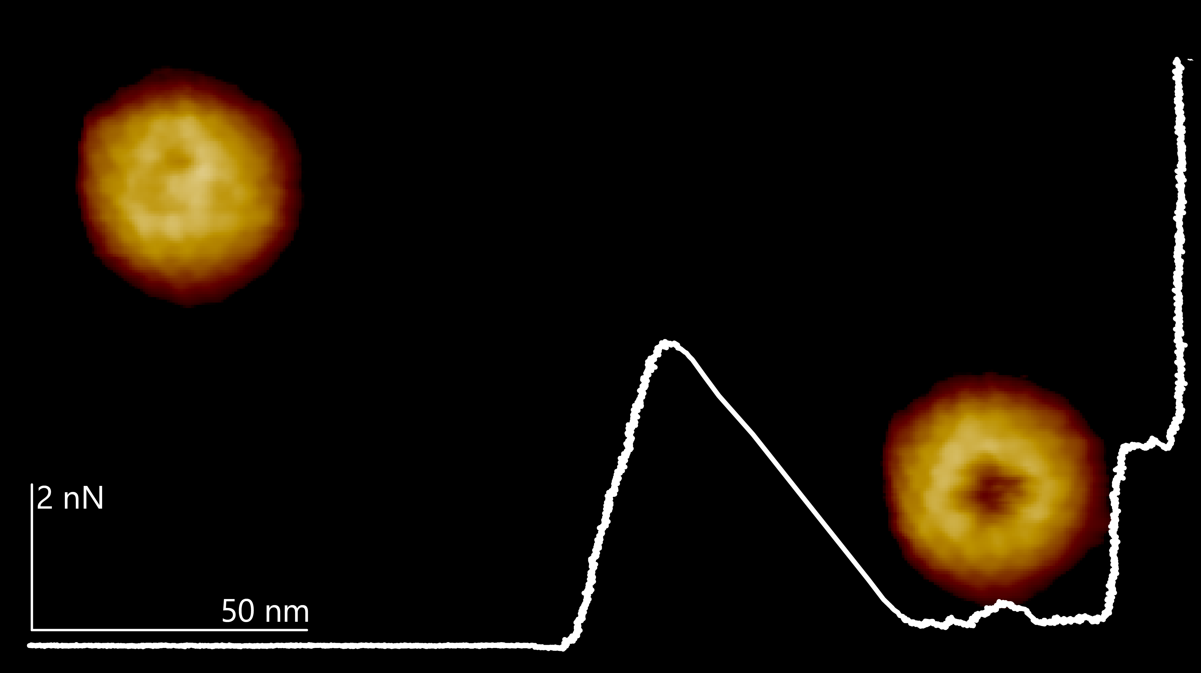 Nanomechanics at Your Fingertip