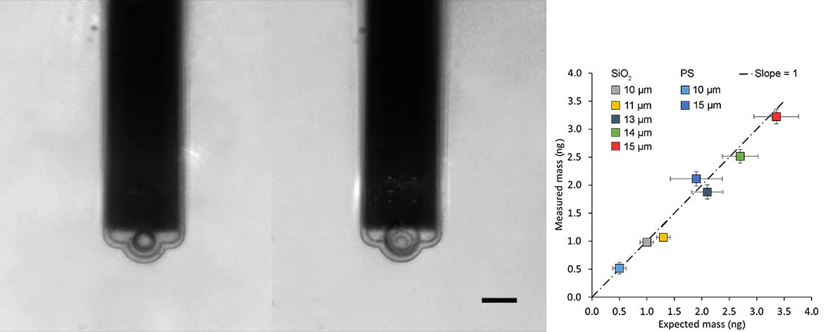 FluidFM-mass-measurements-picobalance