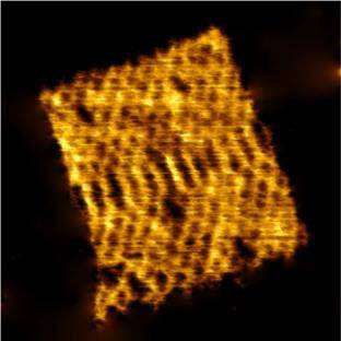 BT10105_AFM topography DNA Origami BT10105_AFM topography DNA Origami