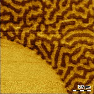 magnetic-force-microscopy-mfm-zoom-on-stainless-steel